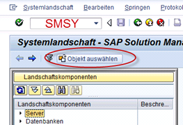 SAP SMSY Systemlandschaft