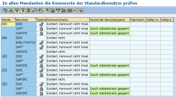 Abbildung 3: Ergebnis des Reports RSUSR003 - Idealfall