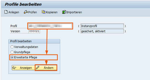 Abbildung 1: Bearbeitung der Profilparameter in der Transaktion RZ10