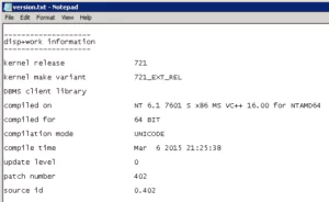 SAP Kernel Version Kommandozeile 2