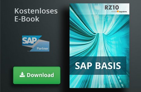 E-Book SAP Basis