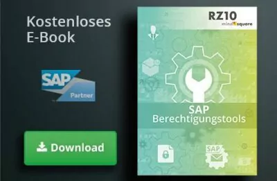 E-Book SAP Berechtigungstools