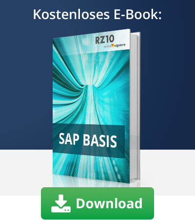 E-Book SAP Basis