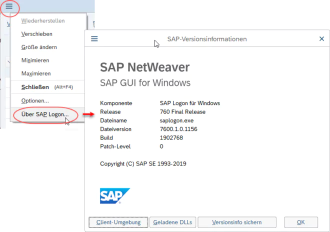 Versionsinformationen in der SAP GUI