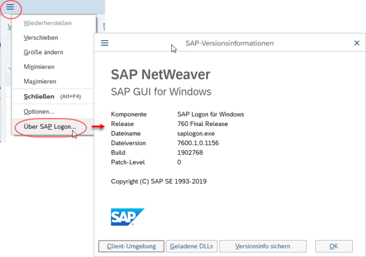 SAP GUI Version: Version ermitteln und Update durchführen