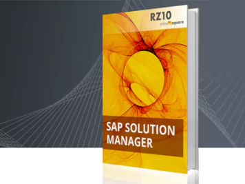 SAP Solution-Manager E-Book