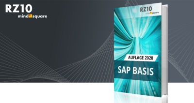 Sap Basis Als Kostenloses E Book Zum Download