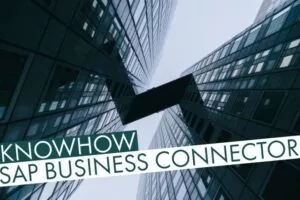 SAP Business Connector