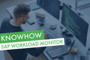 SAP-Workload-Monitor