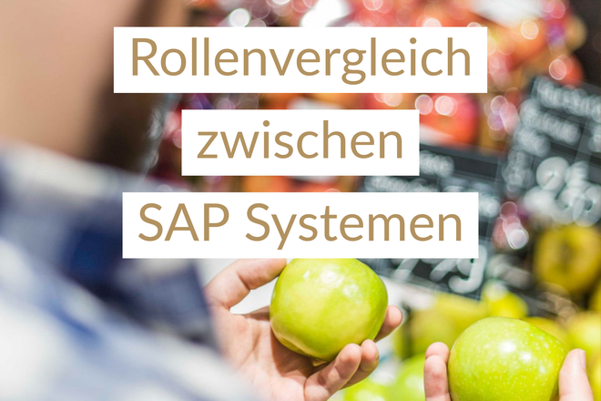 Rollenvergleich zwischen SAP Systemen