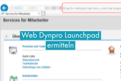 download web dynpro application