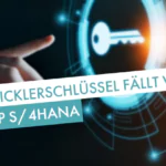 Entwicklerschlüssel S/4HANA