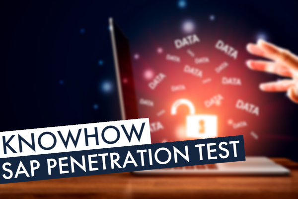 SAP Penetration Test