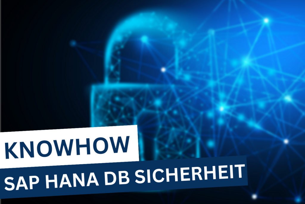 SAP HANA DB Sicherheit