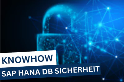 SAP HANA DB Sicherheit