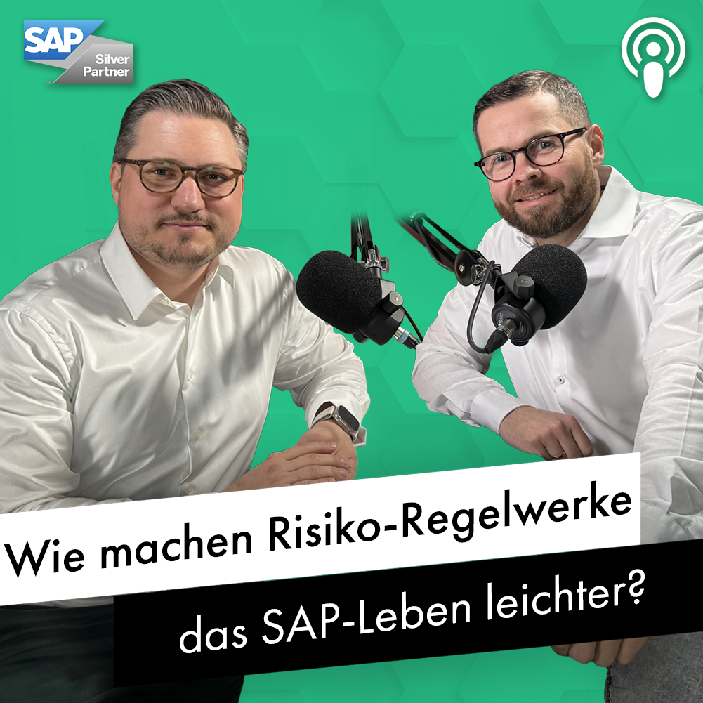 Wie machen Risiko-Regelwerke das SAP Leben einfacher? - mit Christopher Niekamp episode artwork