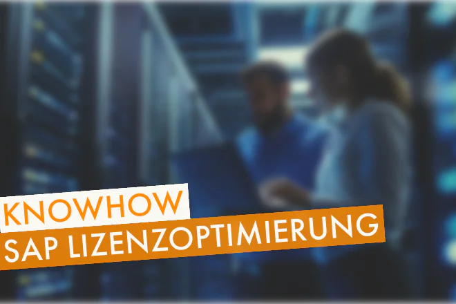 SAP Lizensoptimierung