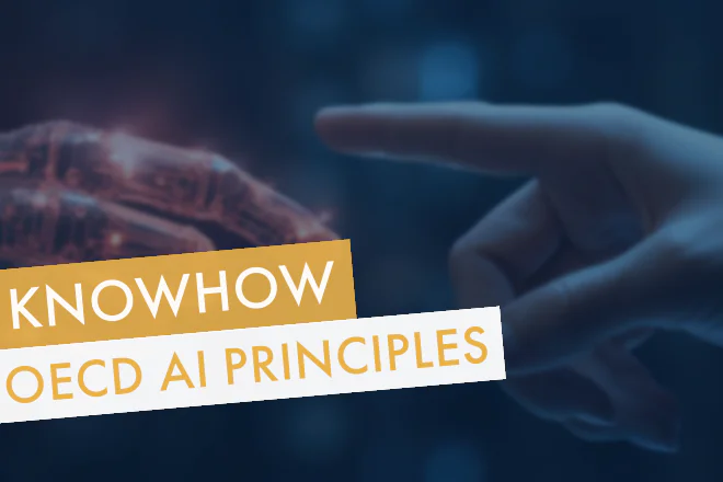 OECD AI Principles