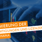 Optimierung der Berechtigungen und Lizenzen in S/4HANA