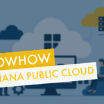 SAP S/4HANA Public Cloud
