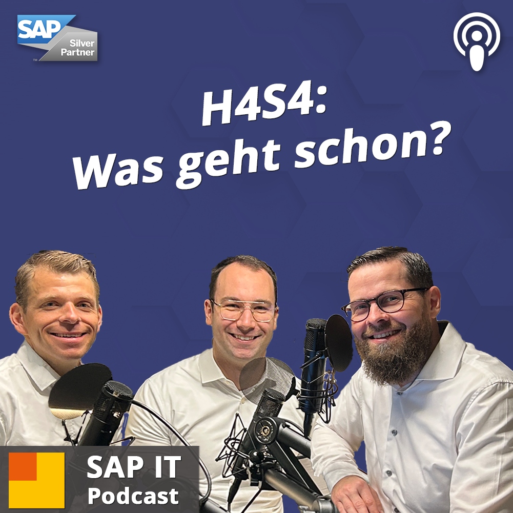 H4S4-Migration: Diese Fragen stellen sich SAP-HCM-Kunden – mit Alexander Graf und Lukas Habermann episode artwork