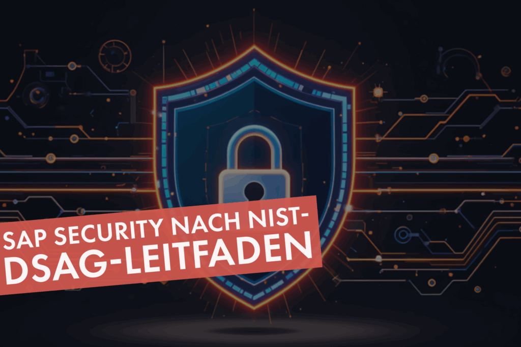 SAP Security nach NIST- DSAG-Leitfaden
