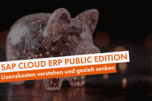 SAP Cloud ERP Public Edition