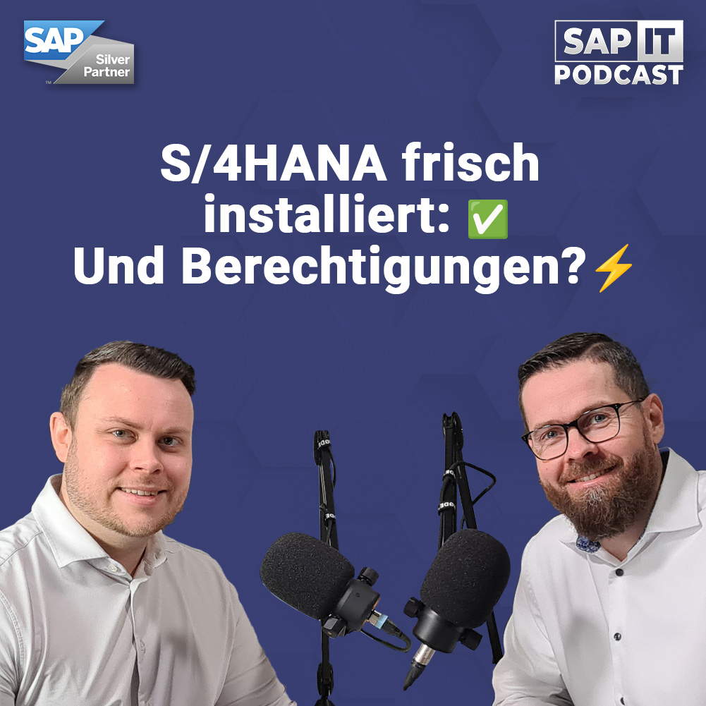 Fiori, Findings, Lizenzkosten: SAP Berechtigungen unter S/4HANA – mit Jonas Krüger episode artwork