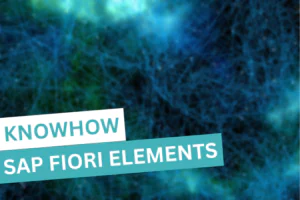 SAP Fiori Elements