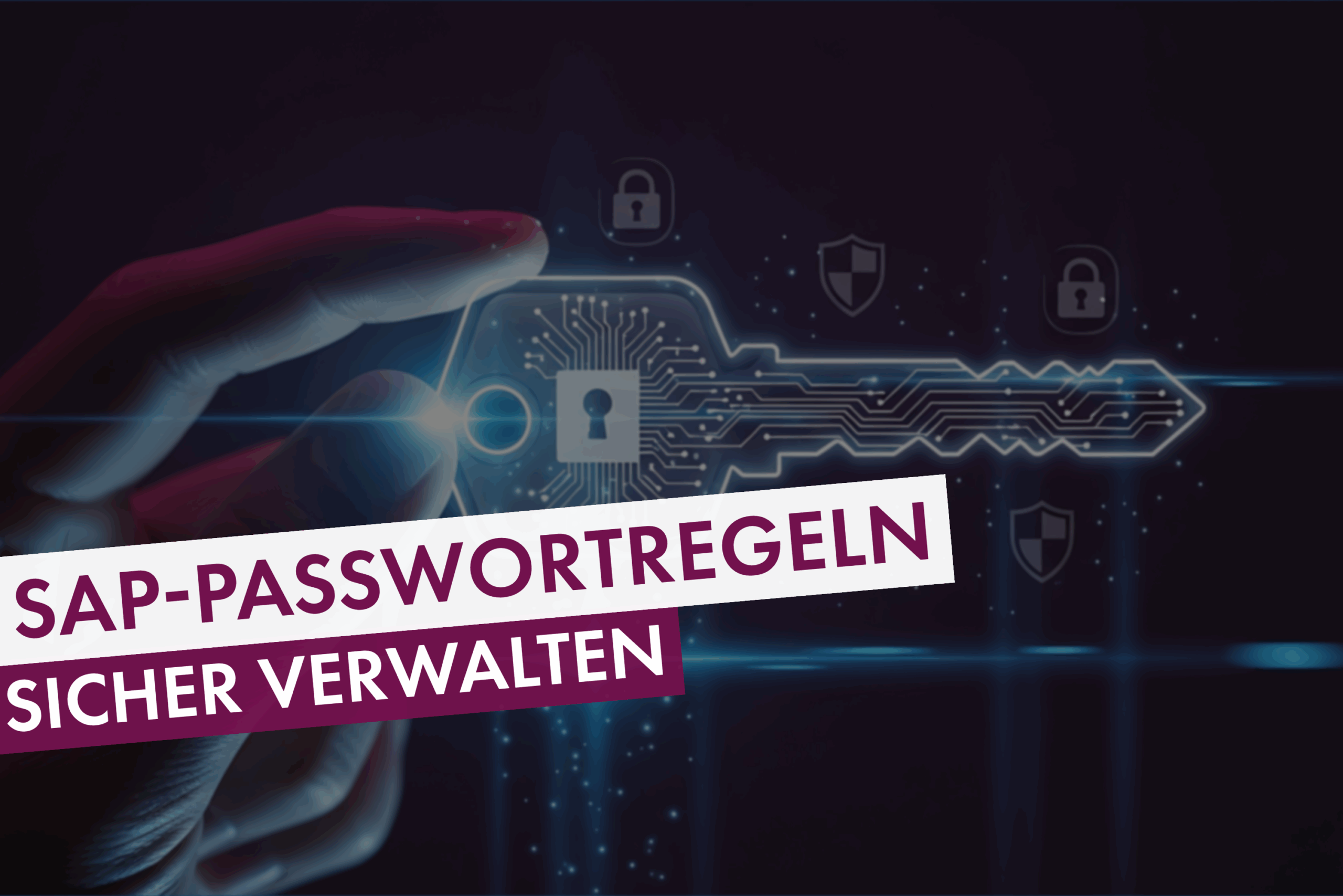 SAP-Passwortregeln: sicher verwalten