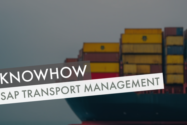 SAP Transport Management