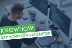 SAP-Workload-Monitor
