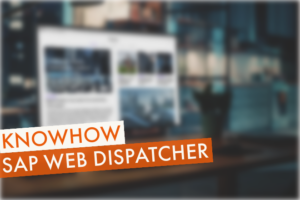 SAP-Web-Dispatcher