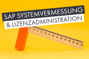 SAP Systemvermessung & Lizenzadministration