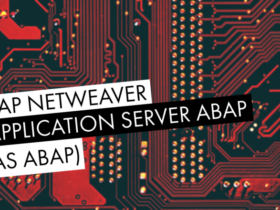 SAP NetWeaver Application Server ABAP