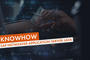 SAP NetWeaver Application Server Java