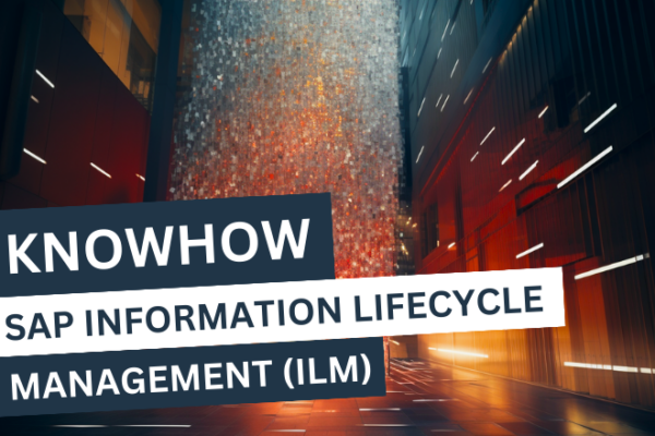 SAP ILM Information Lifecycle Management (ILM)