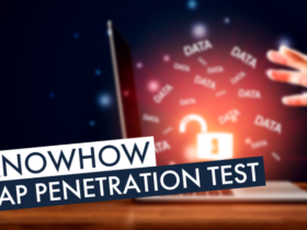SAP Penetration Test