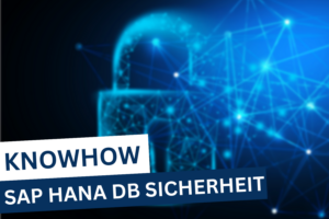SAP HANA DB Sicherheit