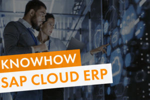 SAP Cloud ERP